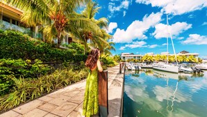 A marina with boats docked, a palm tree-lined pathway, and a building with a modern design.