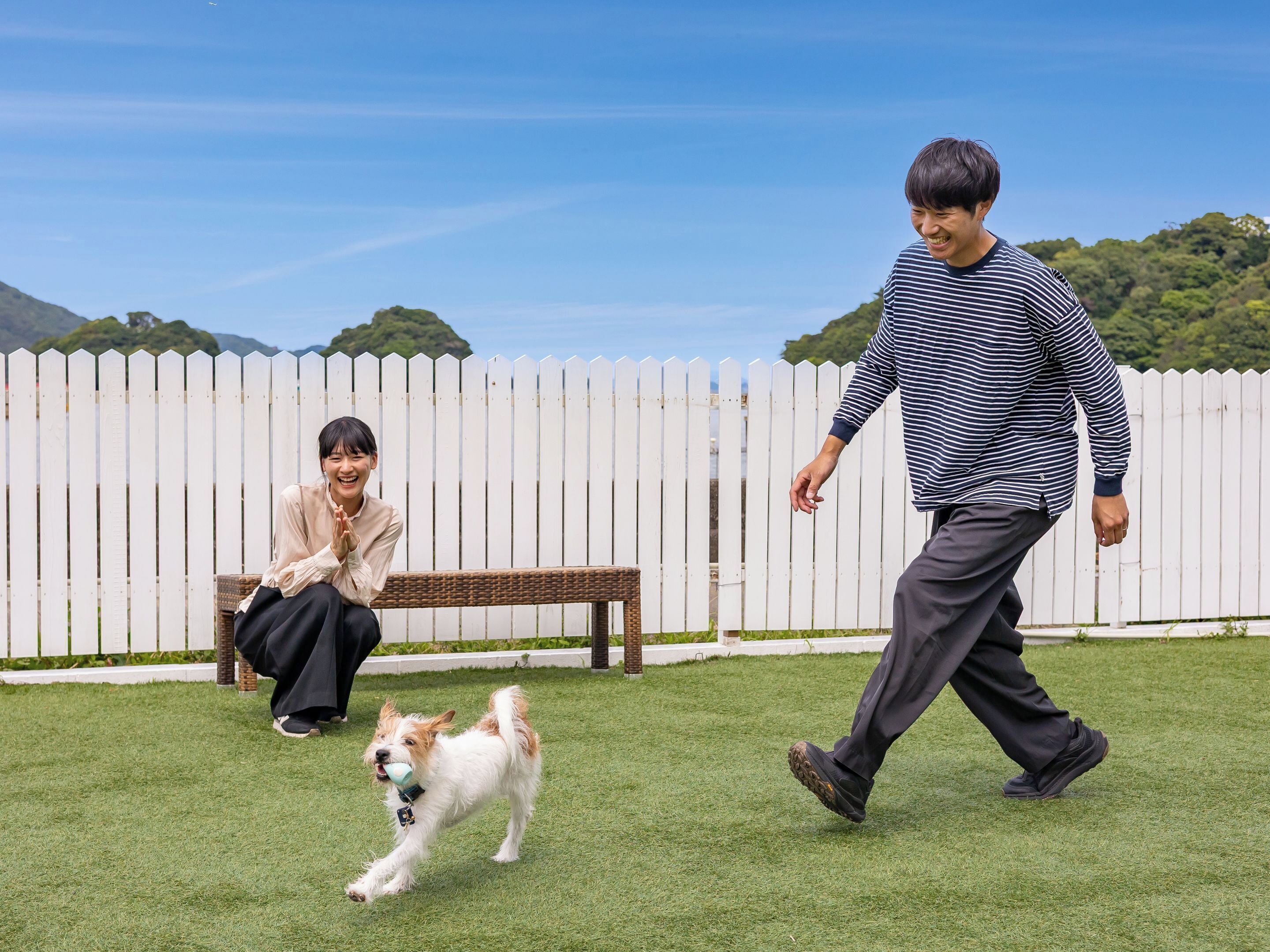 A grassy outdoor area with a white picket fence, a bench, and a person walking a small dog.