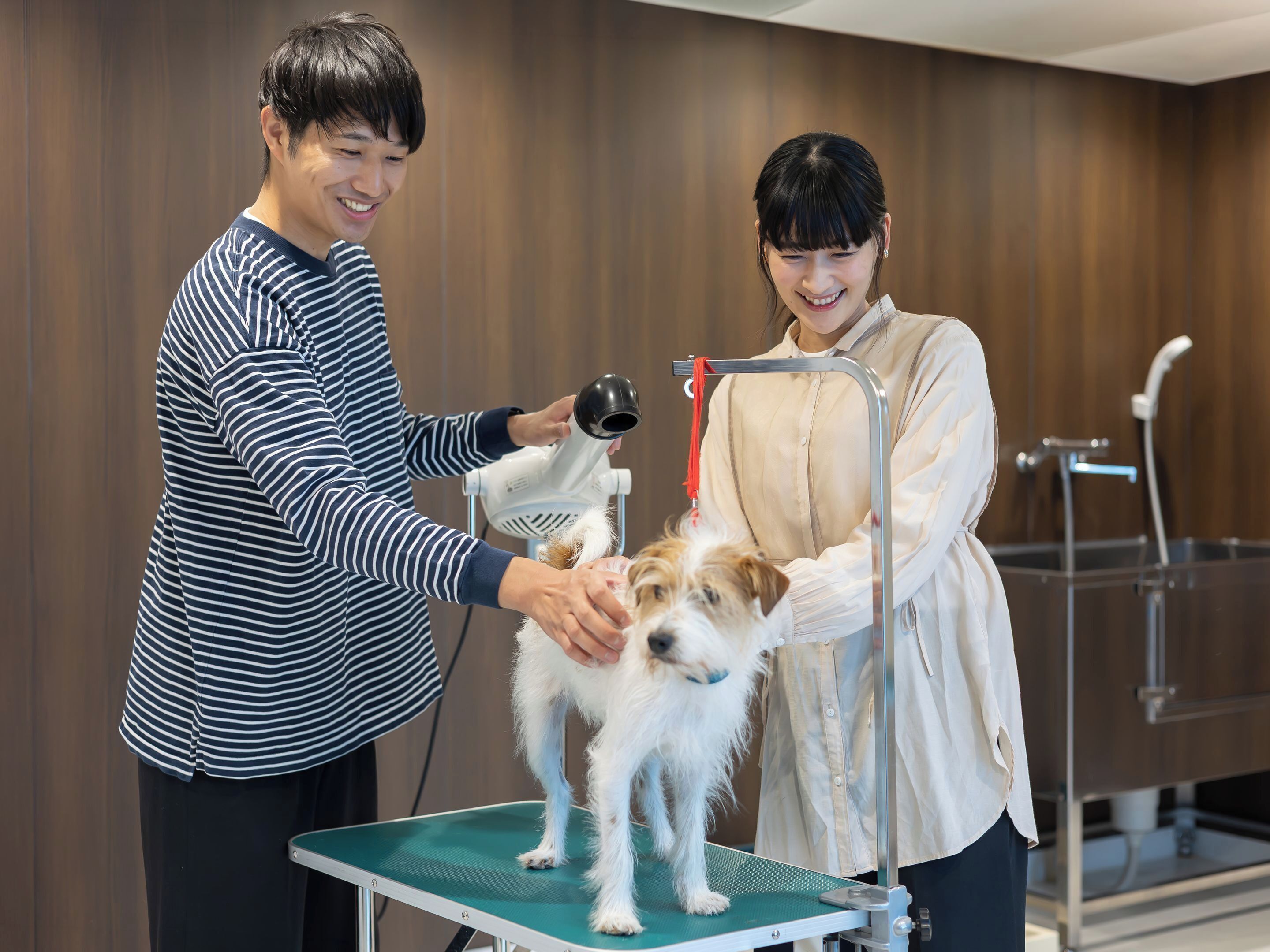 A grooming station with a dog on a table, a person holding a hairdryer, and another person standing beside.
