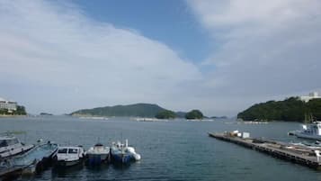 Vista desde la propiedad