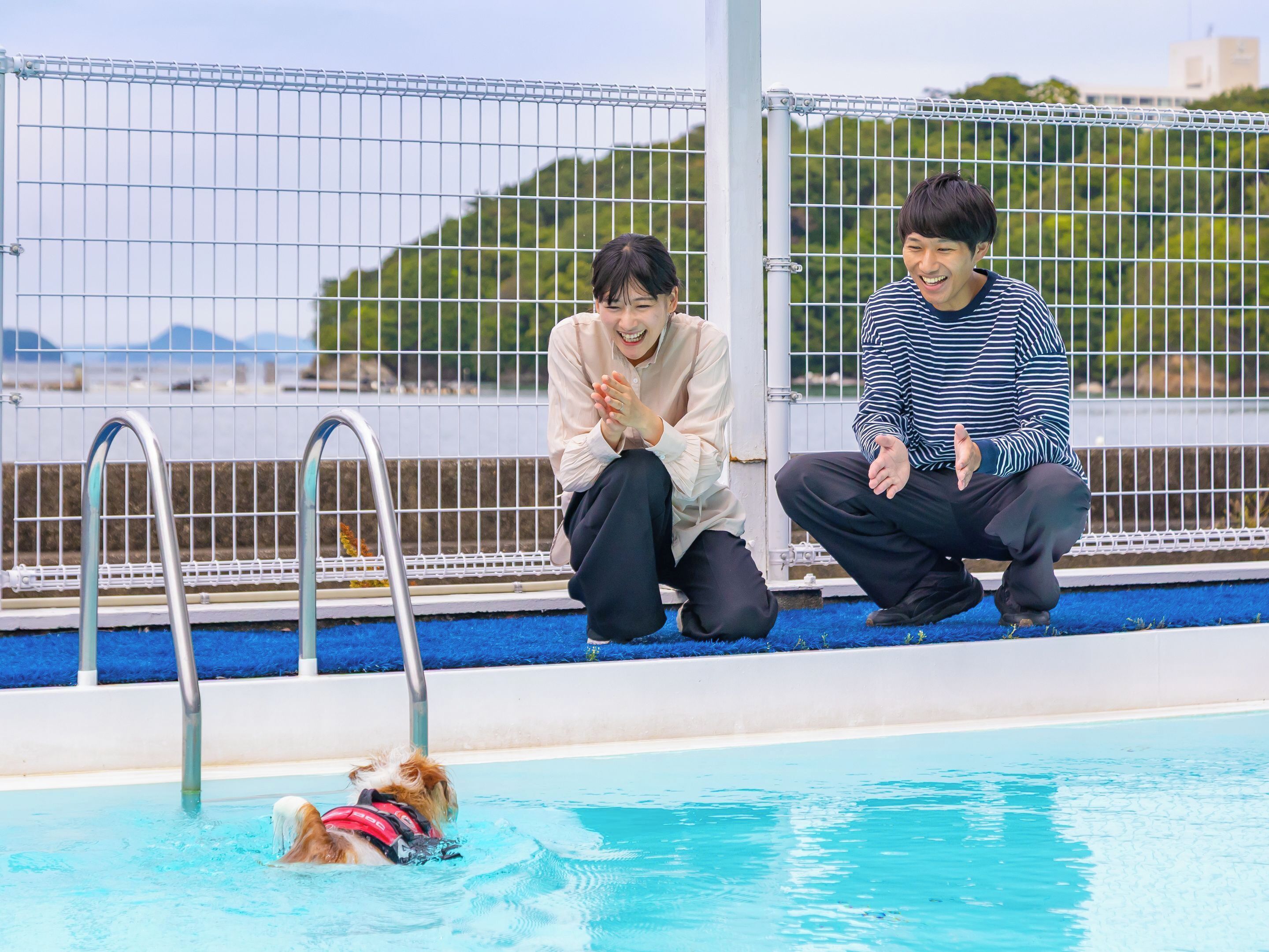 A swimming pool with a dog in the water, two people sitting on the poolside, and a metal fence in the background.
