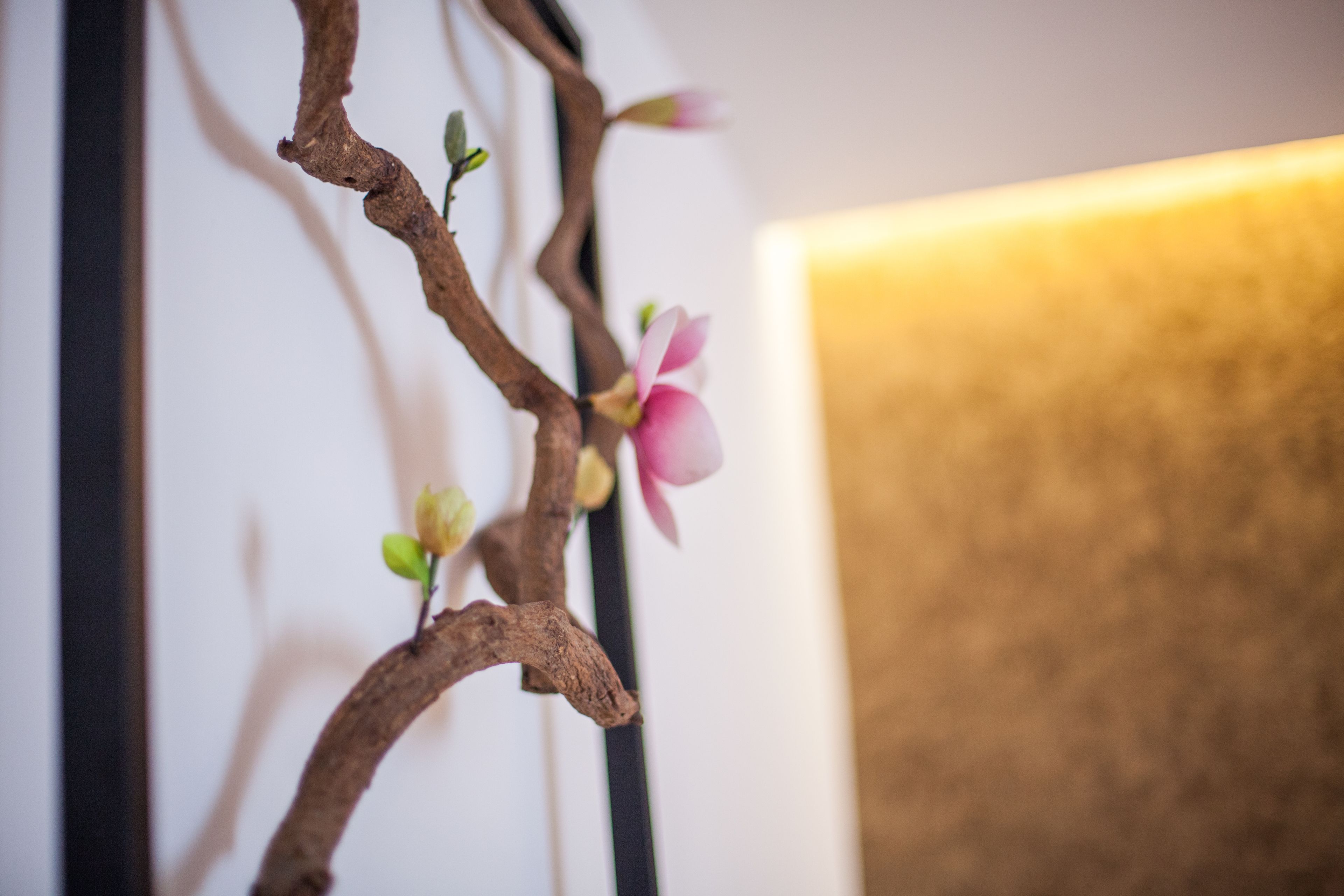 A branch with pink flowers and green buds against a white background.