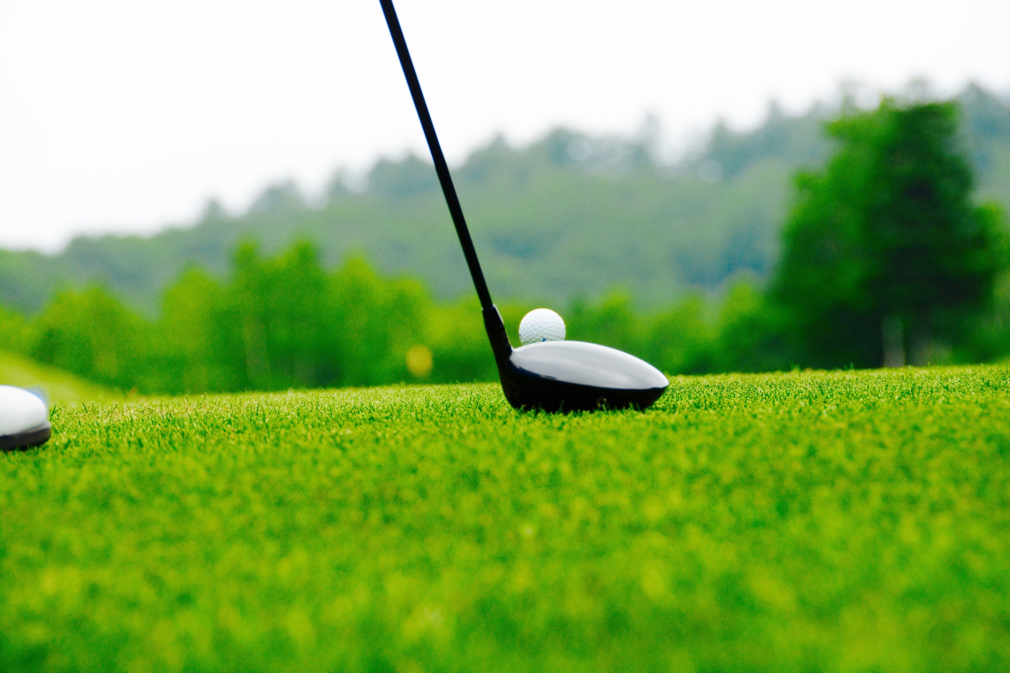 Ein Golfschläger mit einem Golfball auf einem Grün, verschwommene Bäume im Hintergrund.