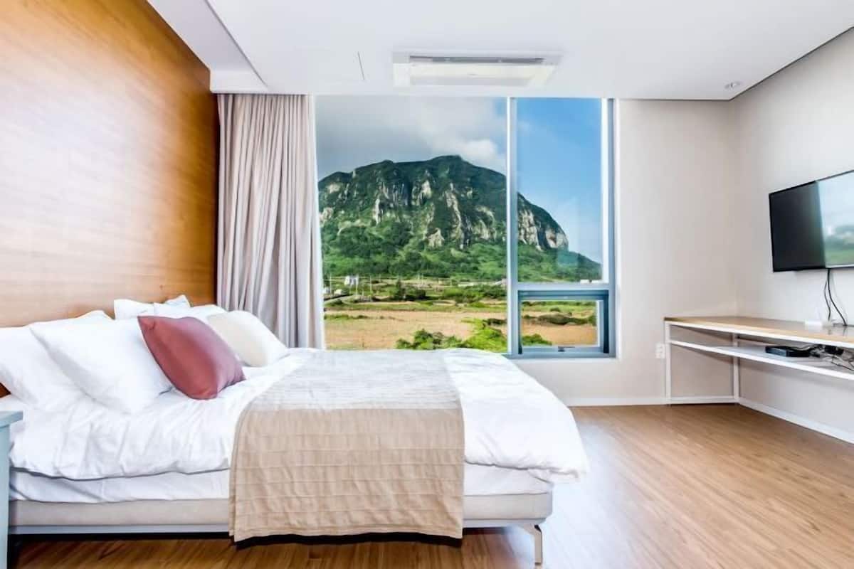 Blackout drapes, soundproofing, WiFi (free), bed sheets
