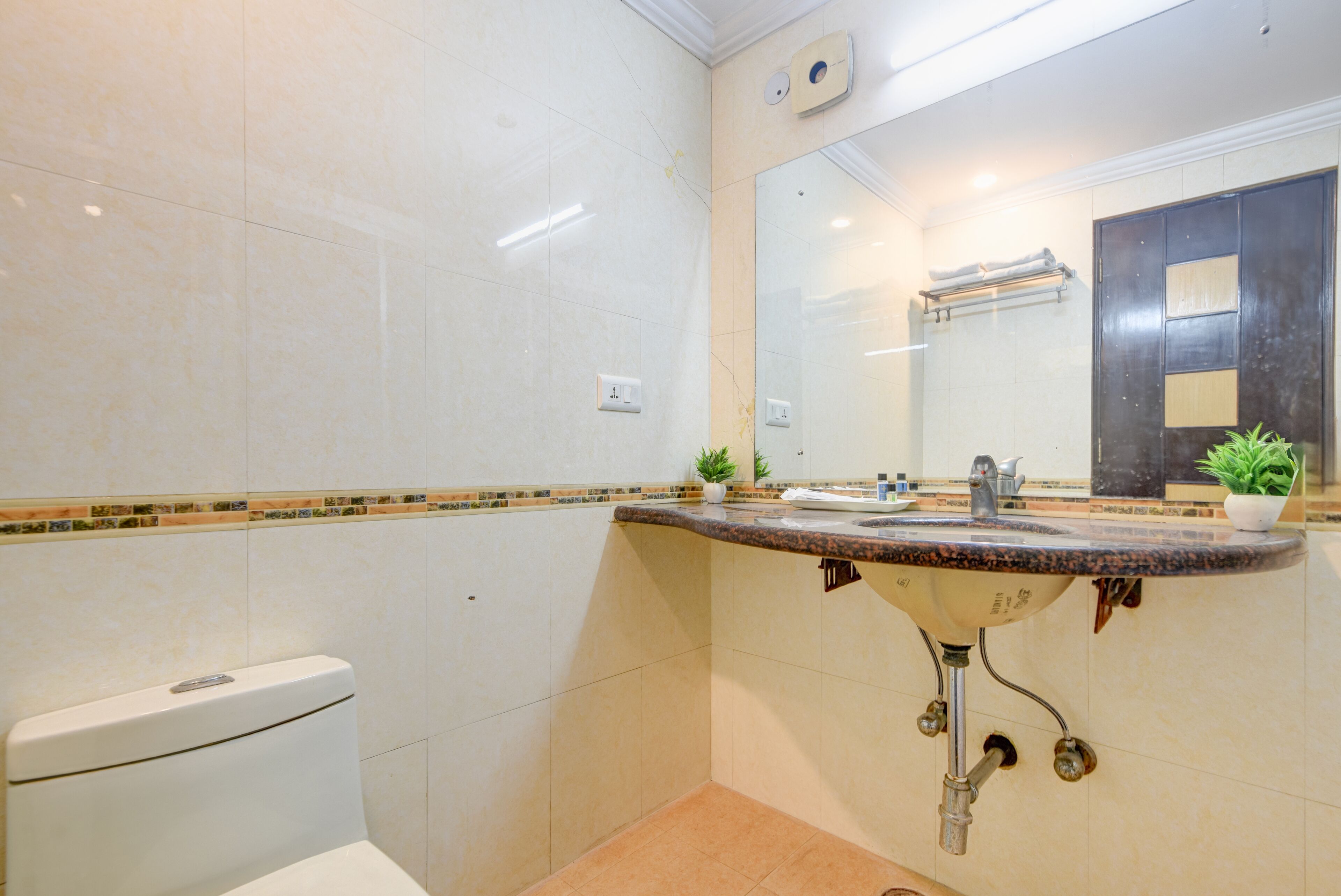 A bathroom with a white toilet, a sink with a marble countertop, a mirror, and a potted plant.