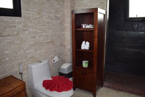 Suite Premium | Baño | Regadera, amenidades de baño gratuitas, batas, pantuflas 