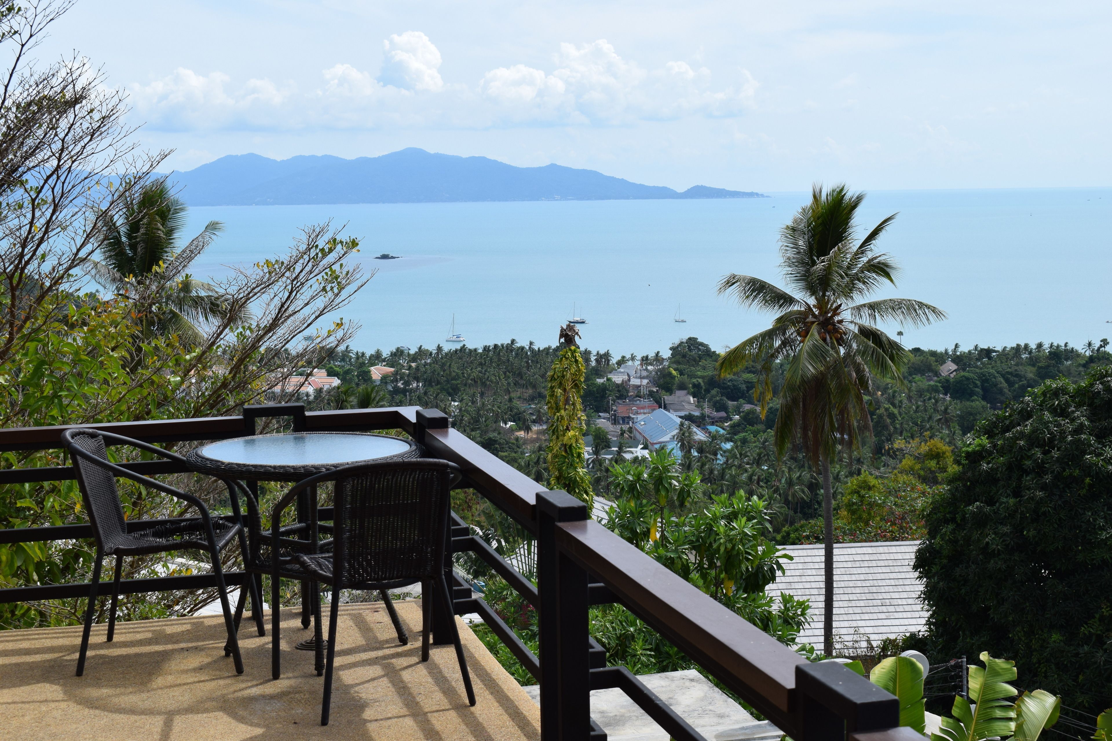 Studio Luxe | 露台/庭院