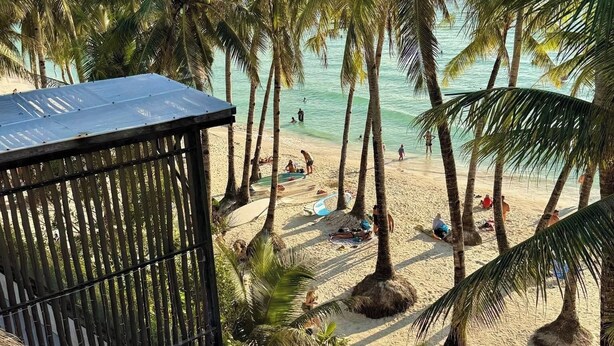 Una playa con palmeras, una orilla arenosa y una estructura de madera con bancos.