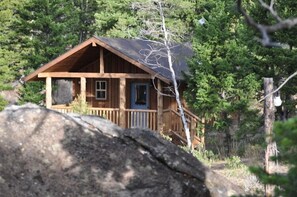 A wooden cabin with a porch and a door, surrounded by dense forest.