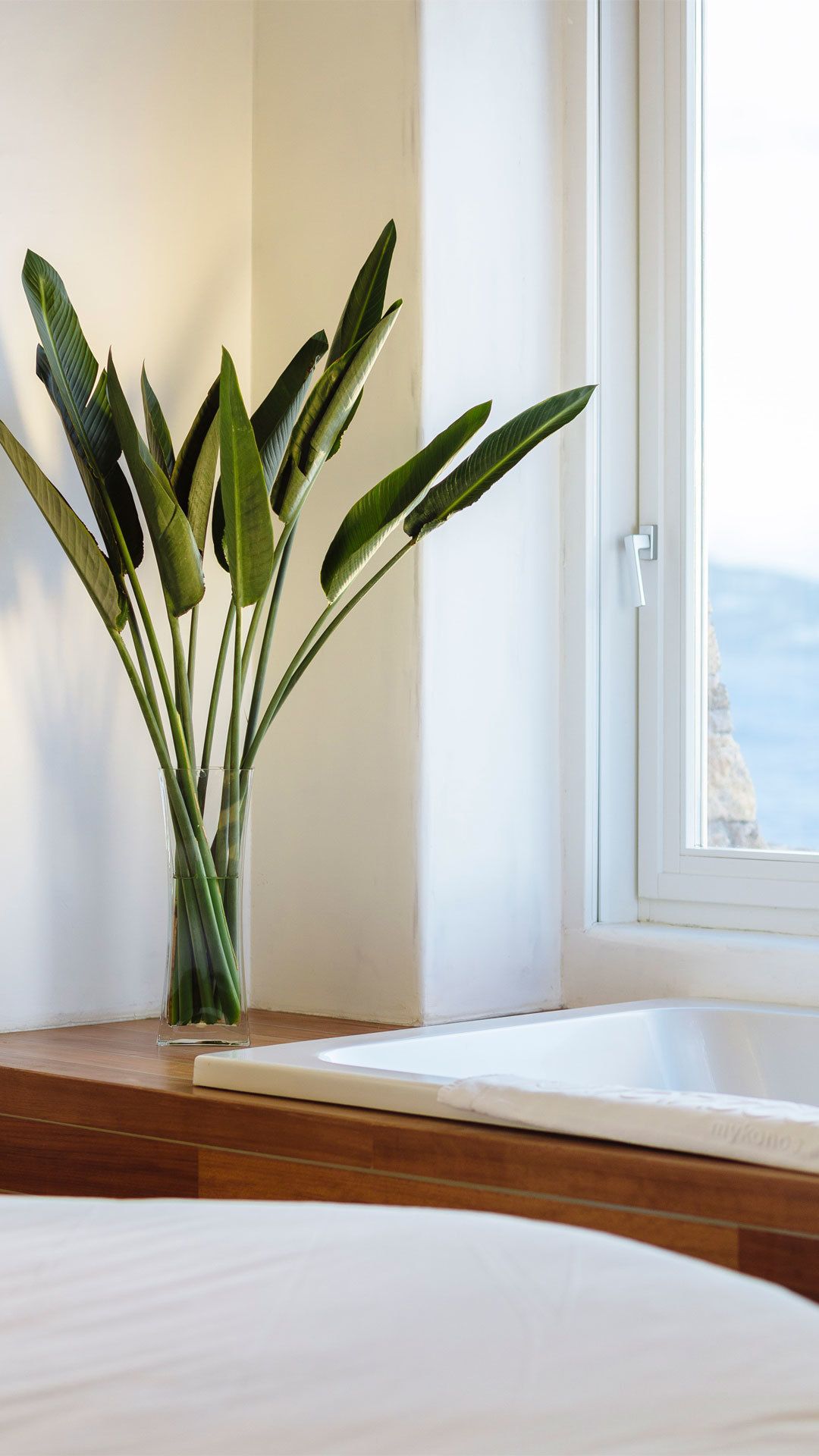 A room with a bed, a window with a view of the sea, and a plant in a clear glass vase on the windowsill.