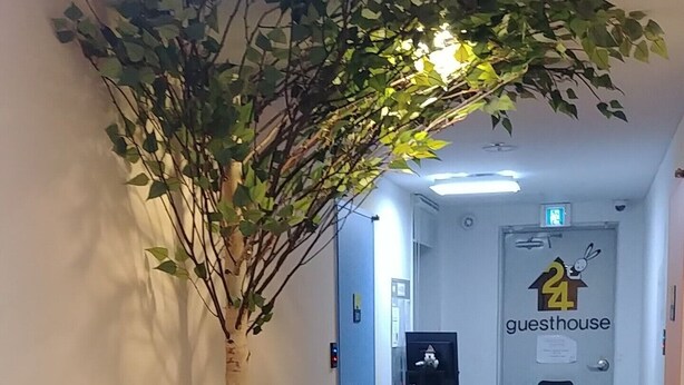 A hallway with a wooden floor, a wall-mounted thermostat, and a sign for 'guesthouse'. - 24 Guesthouse Seomyun (Busan)