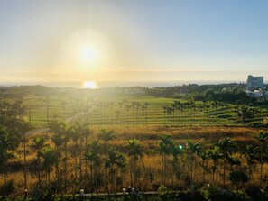 A rural landscape with fields, palm trees, and a distant view of a body of water. - Happiness House (Chenggong)