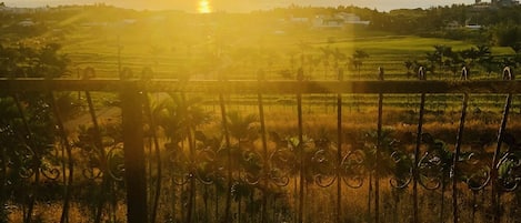 Double Room | Front of property