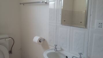 A bathroom with a toilet, a sink, and a mirror.