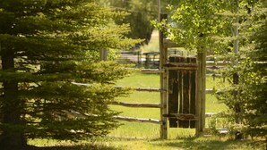 Une porte en bois rustique, au milieu d’un paysage verdoyant et luxuriant.