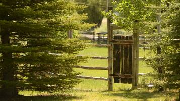 Comfort House, 2 Bedrooms, Mountainside | Property grounds