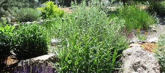 Heister House 3 Bedroom Holiday Home By Pinon Vacation Rentals