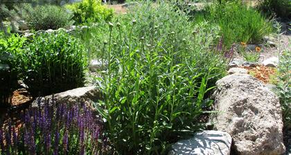 La Casita 1 Bedroom Holiday Home By Pinon Vacation Rentals