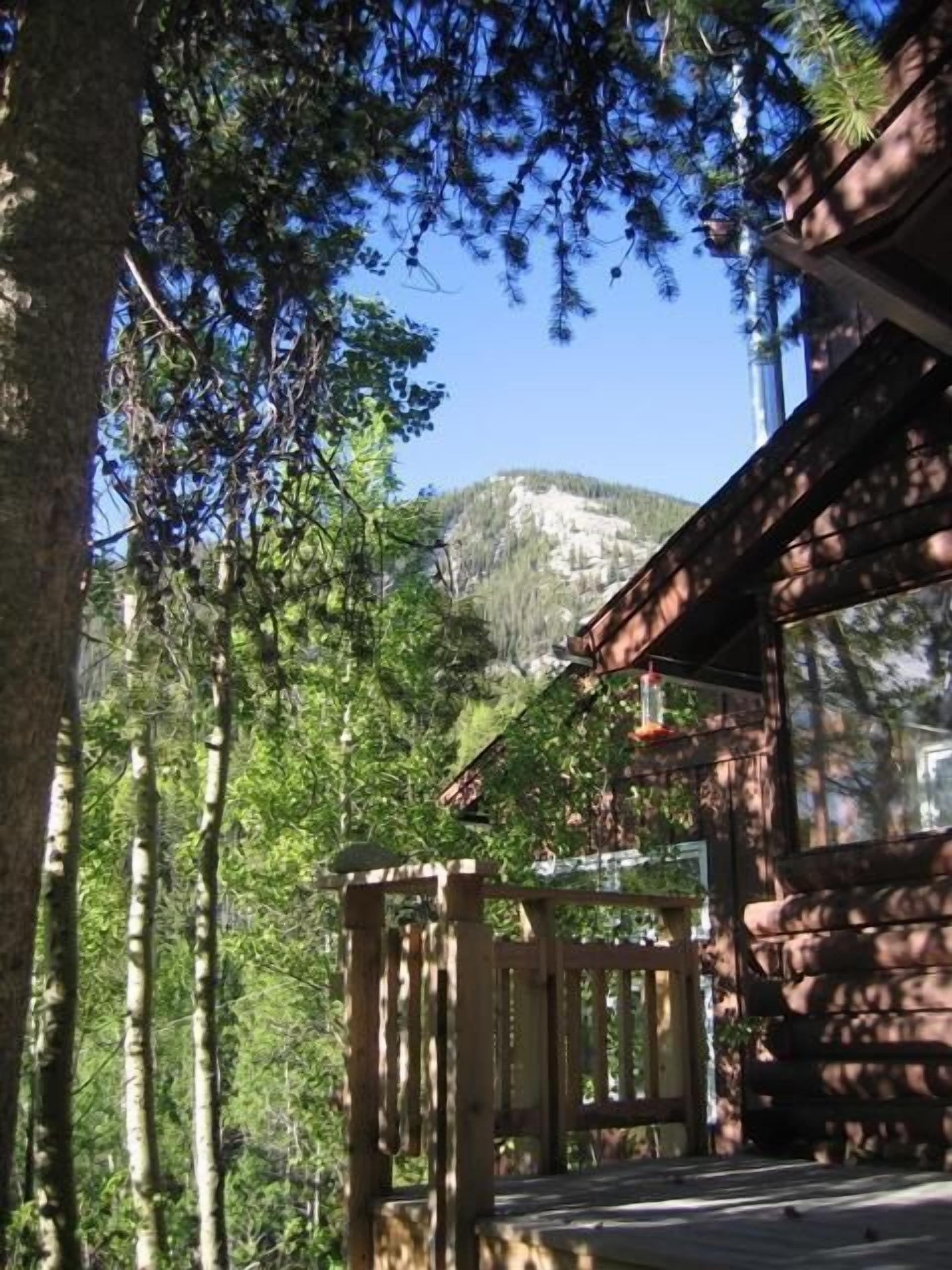A wooden cabin with a porch, surrounded by trees and a mountain in the background.