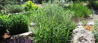 River City Town House 3 Bedroom Holiday Home By Pinon Vacation Rentals