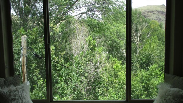 A room with a large window overlooking a dense forest and a hill.