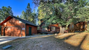 A cabin with a garage, a porch, and a large tree in front.