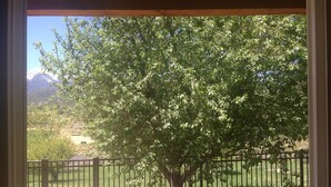 A view through a window of a tree-lined outdoor area with a metal fence, stone pathway, and a grassy field. - River Lover's 3 Bedroom Holiday Home By Pinon Vacation Rent. (Howard)