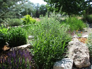 Hus – comfort, 1 soverom, ved fjell | Overnattingsstedets uteområder