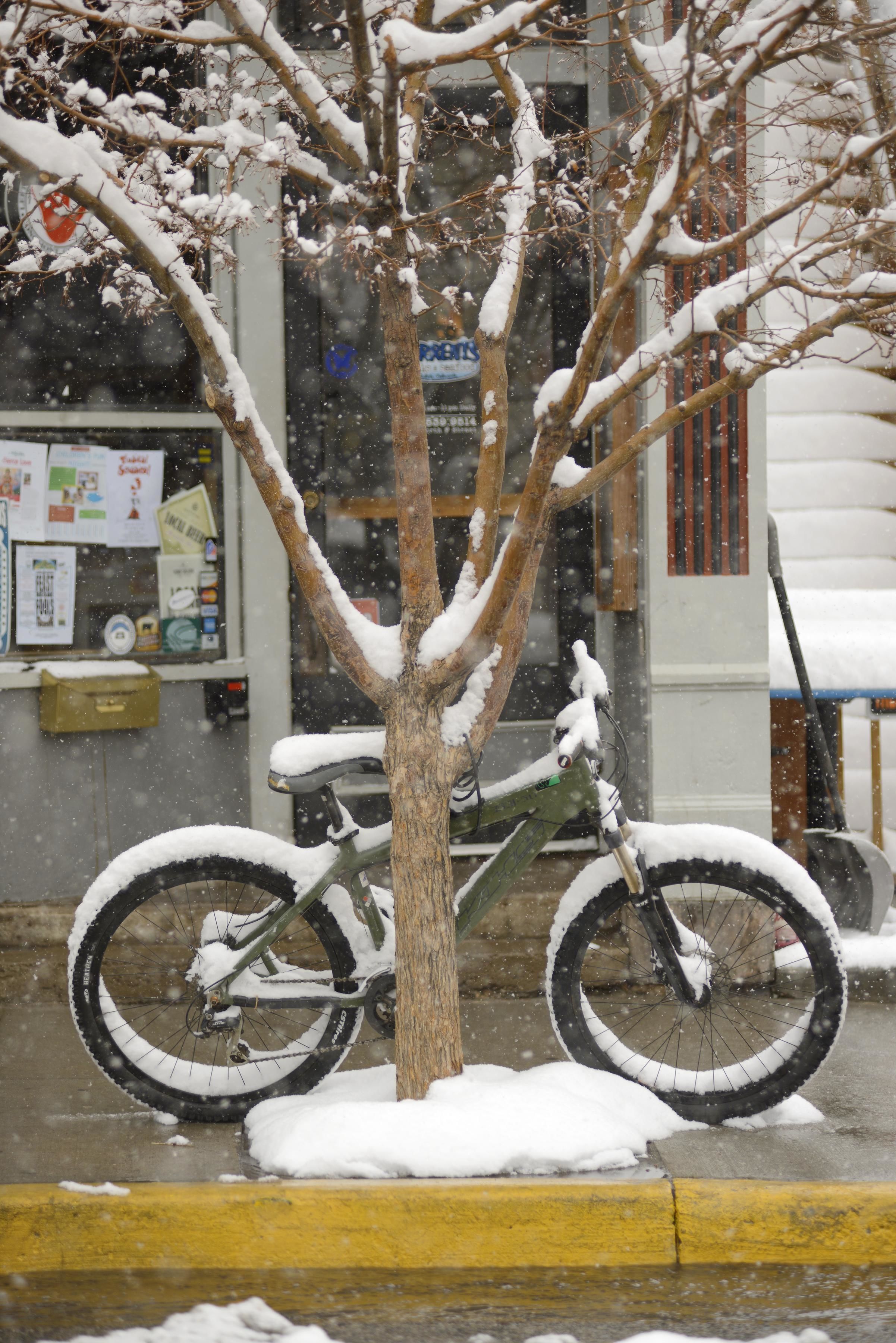 Una bicicleta aparcada al costat d'un arbre amb branca i terra cobertes de neu.