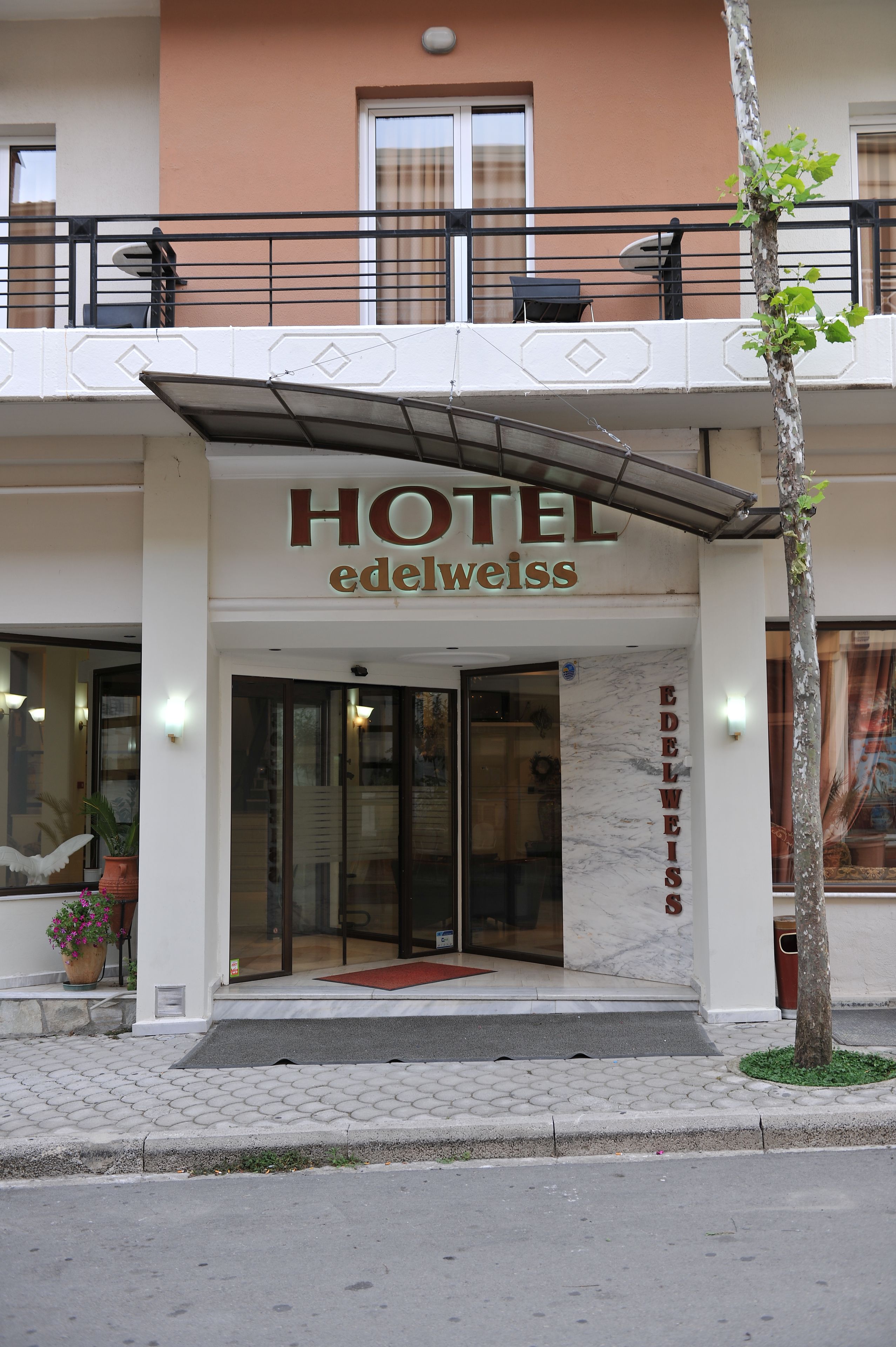 L'ingresso di un hotel con una targa che riporta la scritta 'HOTEL edelweiss', una porta in vetro e un piccolo albero di fronte.
