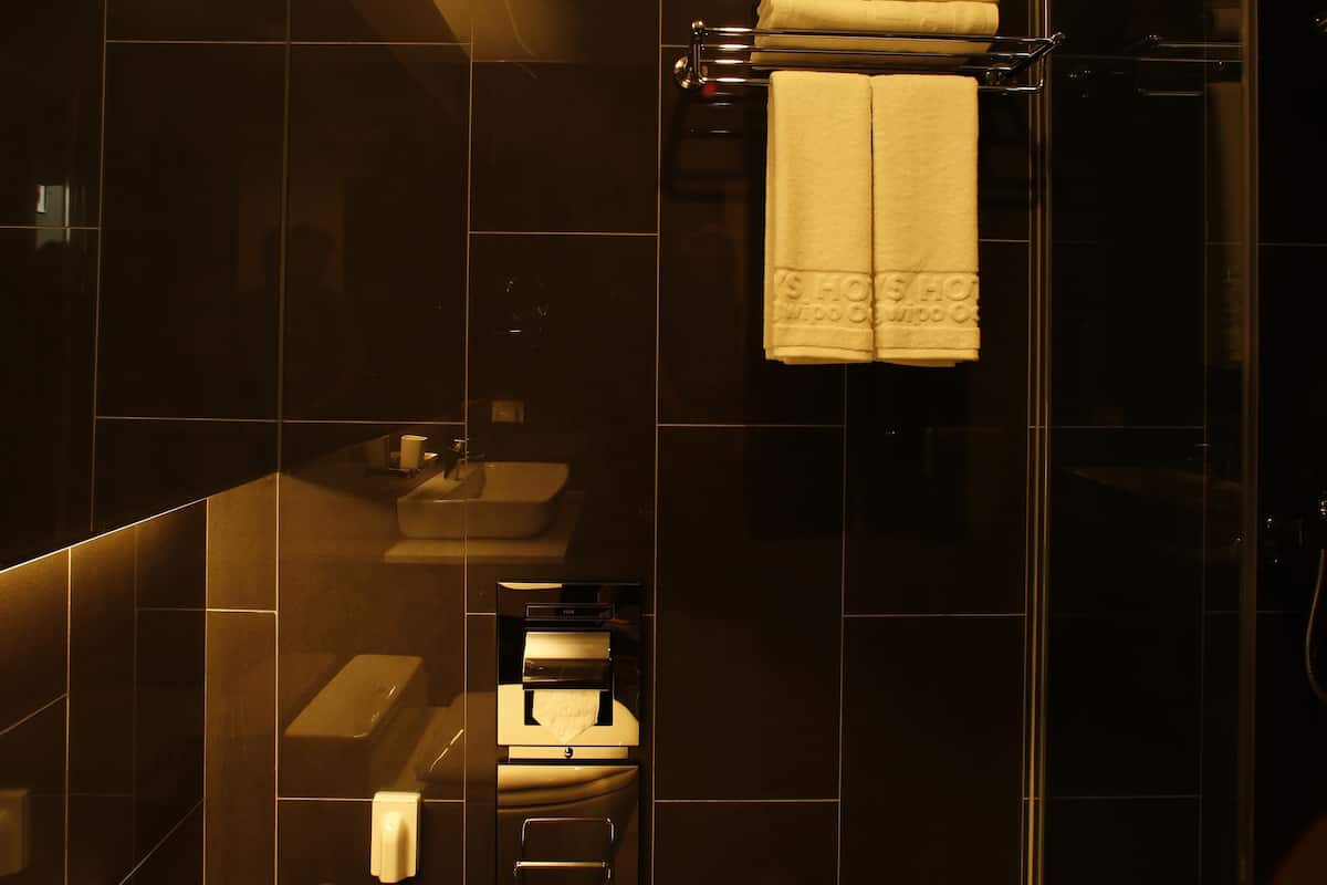 Hair dryer, towels, soap, shampoo