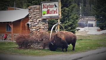 Un edificio rústico con un muro de piedra y un cartel que dice Alpine Motel.