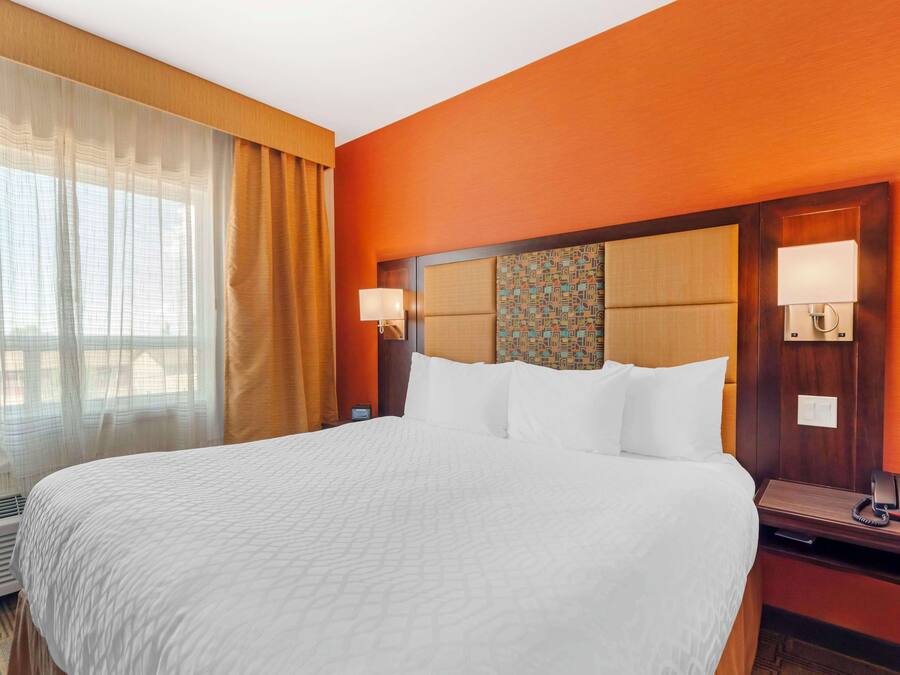 A hotel room with a large bed, two bedside tables with lamps, a patterned headboard, and a window with sheer curtains.