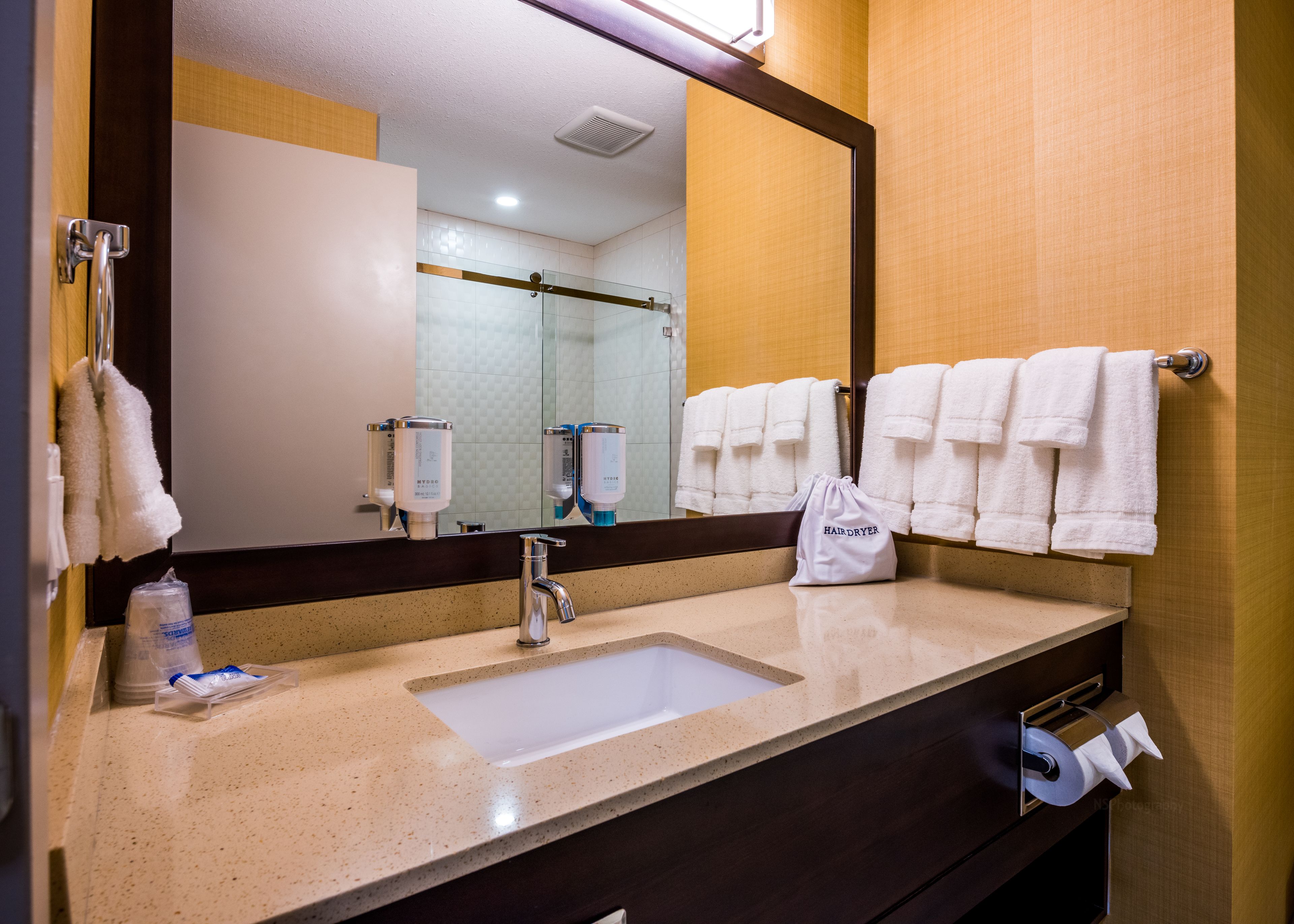 suite, 2 bedrooms, non smoking, kitchen (living room;with sofabed) | bathroom | shower, free toiletries, hair dryer, towels