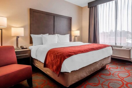 Comfort Inn Suites near Stadium - Image 24