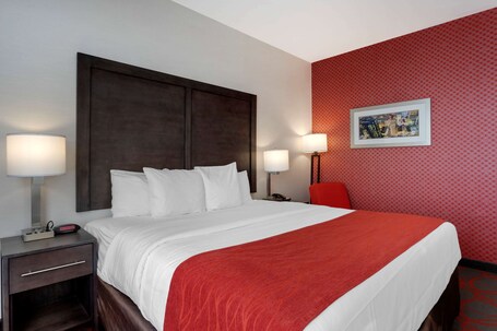 Comfort Inn Suites near Stadium - Image 58