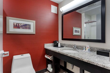 Comfort Inn Suites near Stadium - Image 22