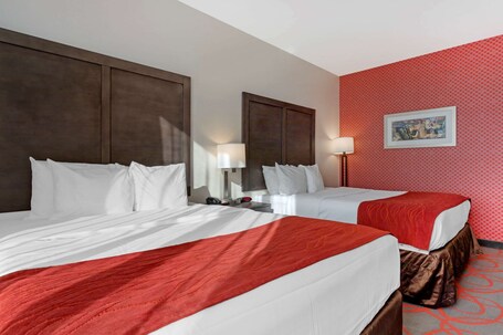 Comfort Inn Suites near Stadium - Image 48