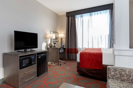 Comfort Inn Suites near Stadium - Image 51