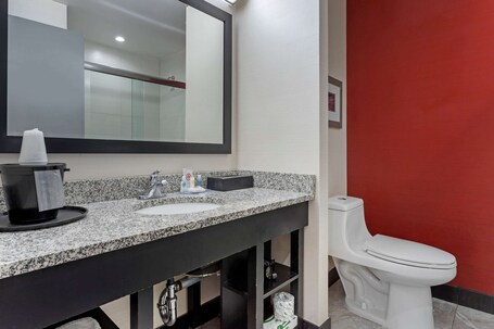 Comfort Inn Suites near Stadium - Image 16