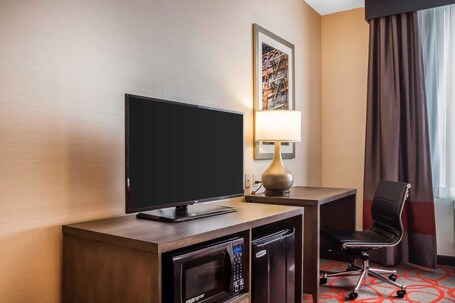 Comfort Inn Suites near Stadium - Image 33