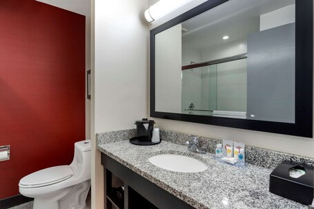Comfort Inn Suites near Stadium - Image 10