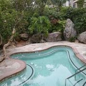 A swimming pool with a curved edge, surrounded by rocks and greenery. - Paradise Found (Oceanside)