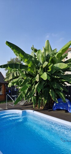 Ela's Appartementhaus