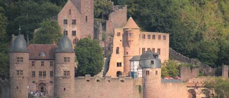 Un castillo histórico con múltiples torres y un muro fortificado, rodeado de un bosque denso.