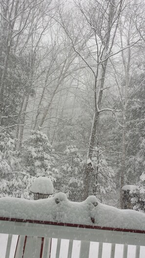 Vistas desde el alojamiento