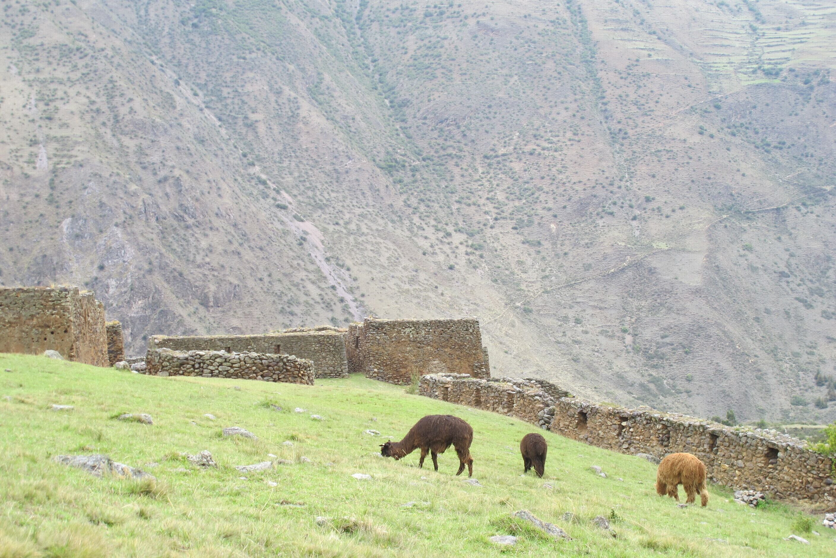 Photo - Tumy house B&B