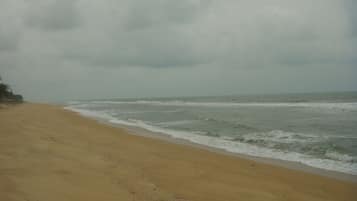 On the beach