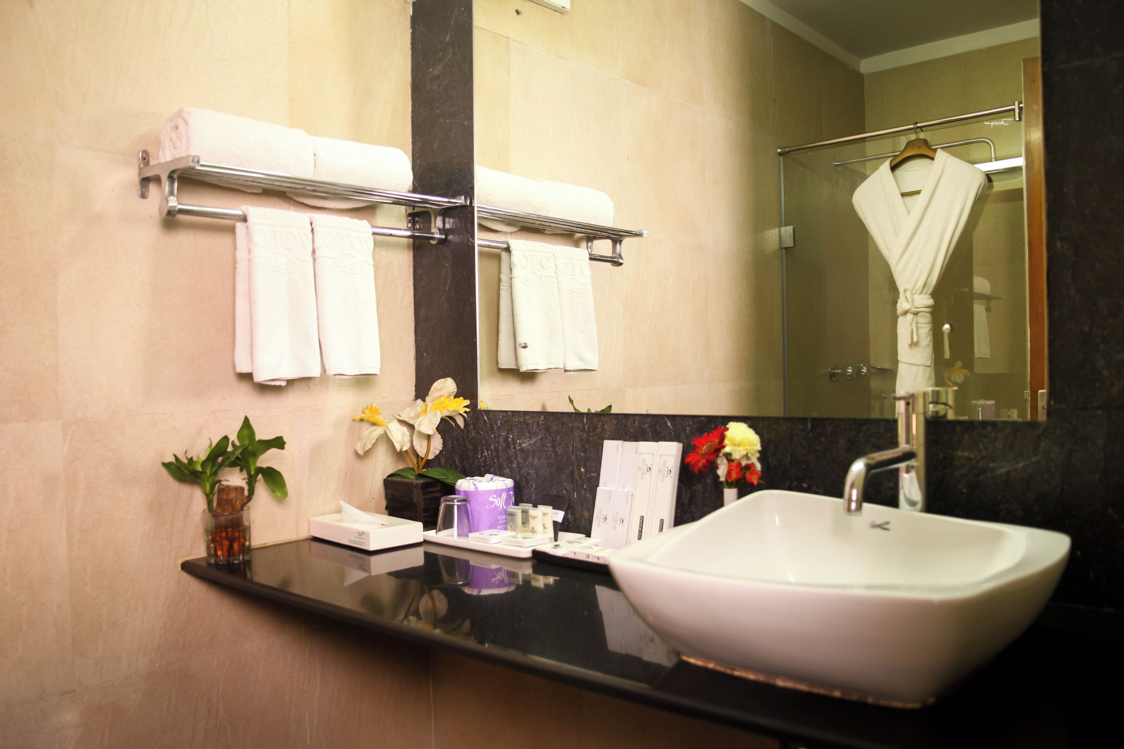 Deluxe Double Room | Bathroom | Shower, rainfall showerhead, free toiletries, hair dryer