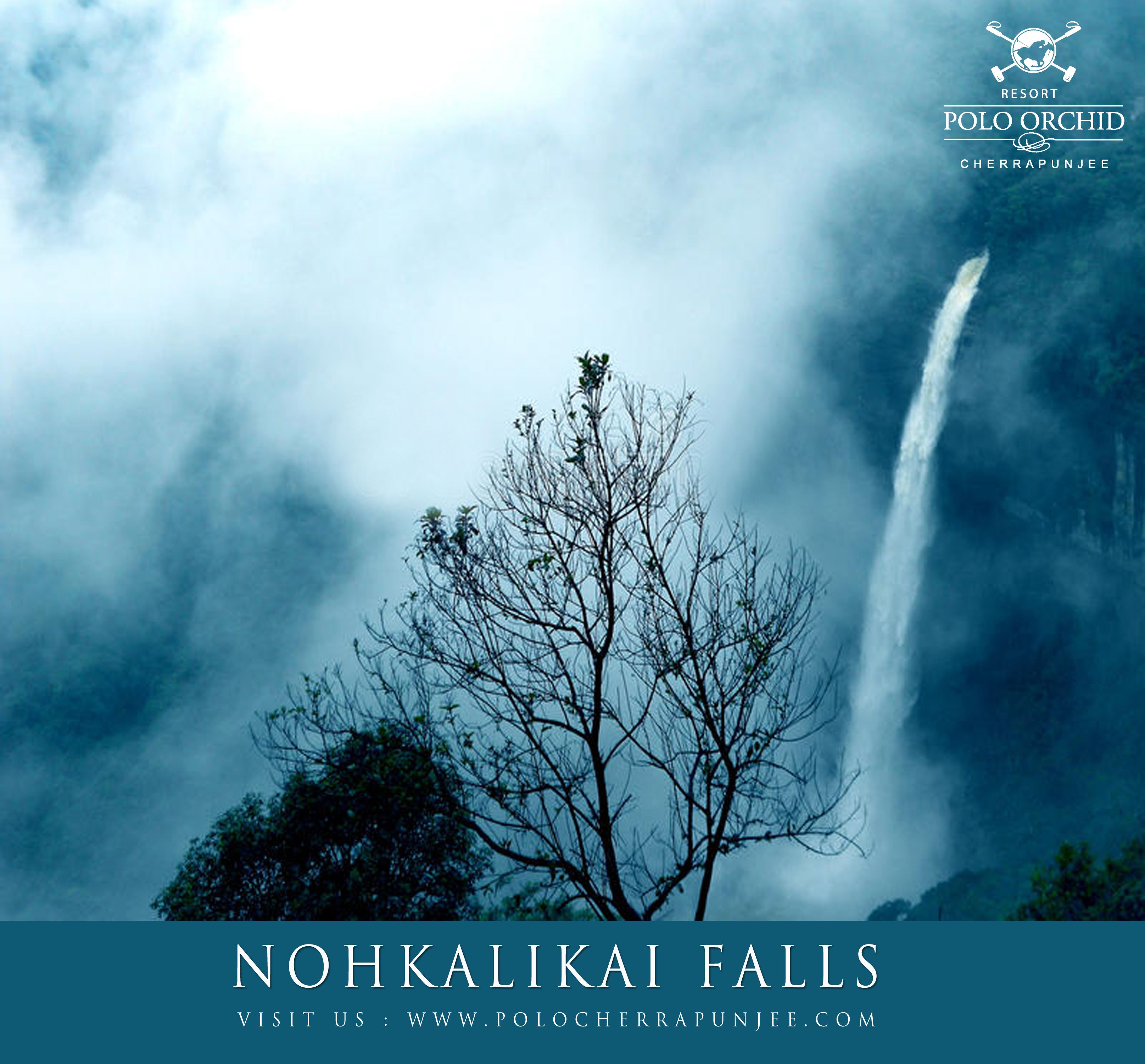A waterfall with a tree in the foreground and a cloudy sky.
